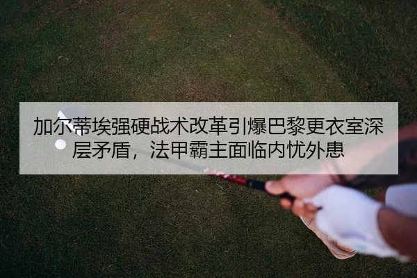 jia-er-di-ai-qiang-ying-zhan-shu-gai-ge-yin-bao-ba-li-geng-yi-shi-shen-ceng-mao-dun-fa-jia-ba-zhu-mian-lin-nei-you-wai-2-153.jpg